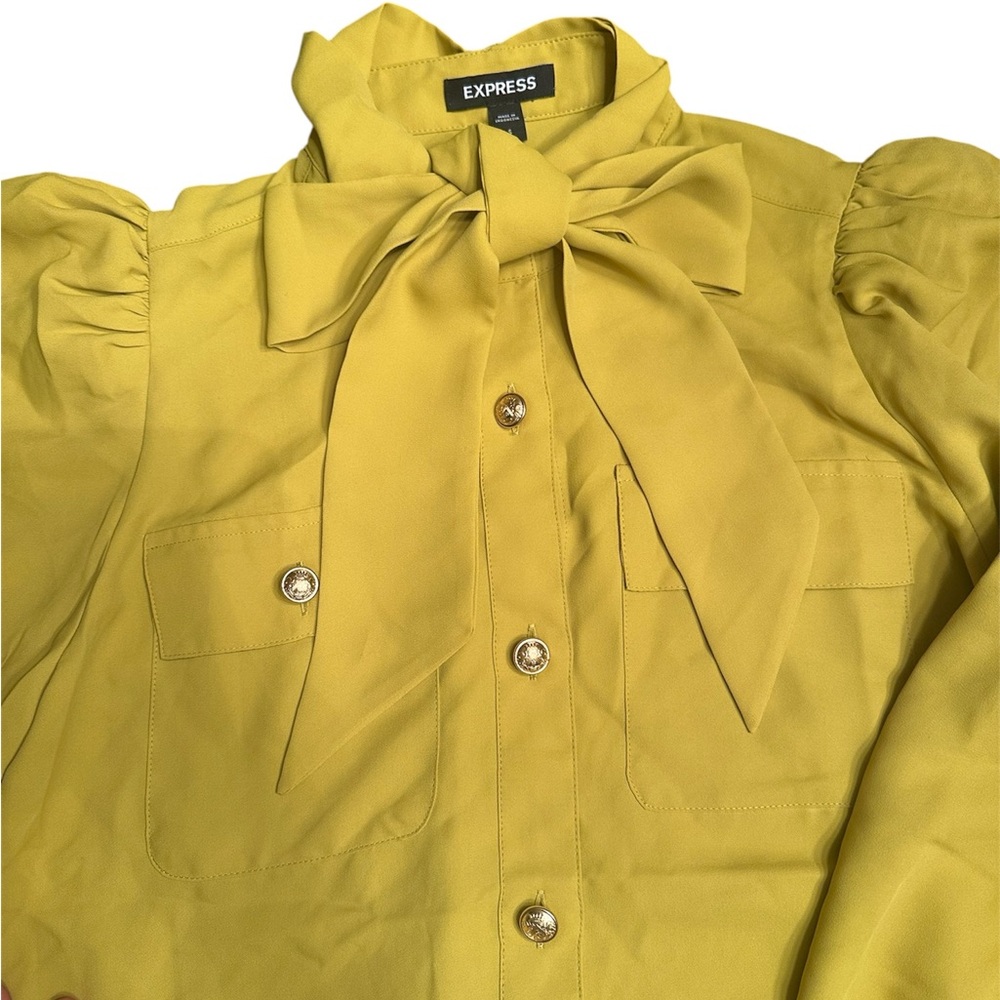 NWT Express Balloon Sleeve Tie Neck